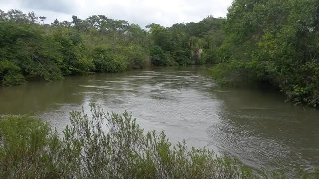Fazenda Pecuária 720 alq em mineiros go